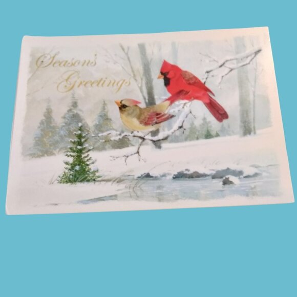 Blank Christmas Card Seasons Greetings Cardinal Birds Envelope Holiday - Picture 1 of 7